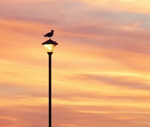 Preview wallpaper bird, lantern, silhouette, sunset, sky