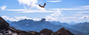 Preview wallpaper bird, mountains, clouds, nature