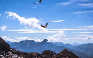 Preview wallpaper bird, mountains, clouds, nature