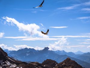 Preview wallpaper bird, mountains, clouds, nature