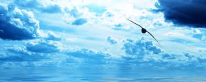 Preview wallpaper bird, ocean, flight, sky, clouds