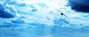 Preview wallpaper bird, ocean, flight, sky, clouds