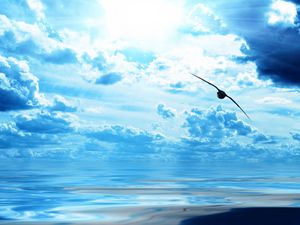 Preview wallpaper bird, ocean, flight, sky, clouds