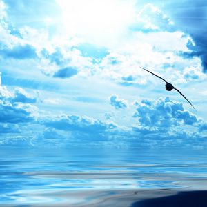 Preview wallpaper bird, ocean, flight, sky, clouds