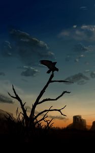 Preview wallpaper bird, predator, silhouette, dusk, art