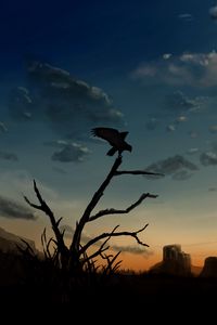 Preview wallpaper bird, predator, silhouette, dusk, art