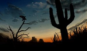 Preview wallpaper bird, predator, silhouette, dusk, art