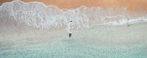 Preview wallpaper bird, sea, beach, aerial view
