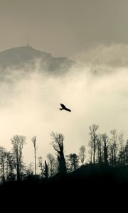 Preview wallpaper bird, silhouette, mountain, cloud, trees