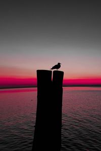 Preview wallpaper bird, silhouette, pillar, seagull, horizon, sea