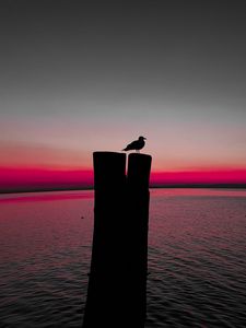 Preview wallpaper bird, silhouette, pillar, seagull, horizon, sea