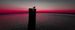 Preview wallpaper bird, silhouette, pillar, seagull, horizon, sea