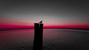 Preview wallpaper bird, silhouette, pillar, seagull, horizon, sea