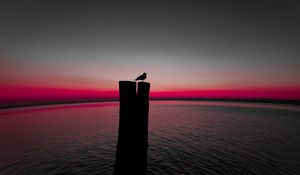 Preview wallpaper bird, silhouette, pillar, seagull, horizon, sea