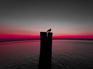 Preview wallpaper bird, silhouette, pillar, seagull, horizon, sea