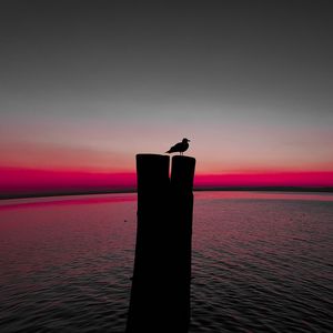 Preview wallpaper bird, silhouette, pillar, seagull, horizon, sea