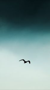 Preview wallpaper bird, silhouette, sky, flight