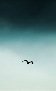 Preview wallpaper bird, silhouette, sky, flight