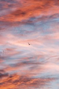 Preview wallpaper bird, sky, clouds, flight
