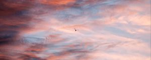 Preview wallpaper bird, sky, clouds, flight