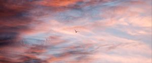 Preview wallpaper bird, sky, clouds, flight