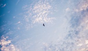 Preview wallpaper bird, sky, minimalism