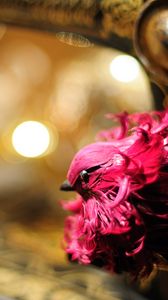 Preview wallpaper bird, toy, feathers, pink