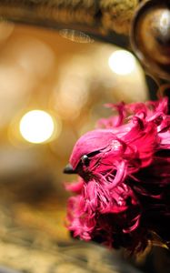 Preview wallpaper bird, toy, feathers, pink