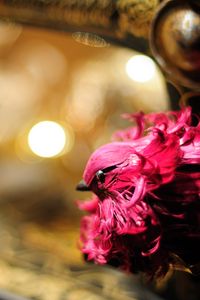 Preview wallpaper bird, toy, feathers, pink
