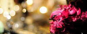 Preview wallpaper bird, toy, feathers, pink