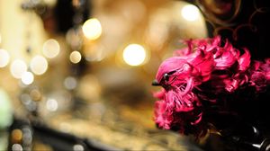Preview wallpaper bird, toy, feathers, pink