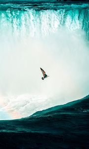 Preview wallpaper bird, waterfall, water, spray, height