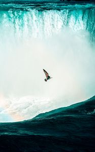 Preview wallpaper bird, waterfall, water, spray, height