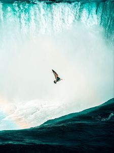 Preview wallpaper bird, waterfall, water, spray, height