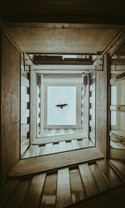 Preview wallpaper bird, wings, building, bottom view, sky