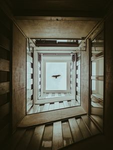 Preview wallpaper bird, wings, building, bottom view, sky