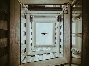 Preview wallpaper bird, wings, building, bottom view, sky