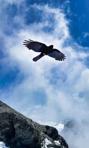 Preview wallpaper bird, wings, flight, clouds, mountains, wildlife