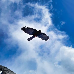 Preview wallpaper bird, wings, flight, clouds, mountains, wildlife