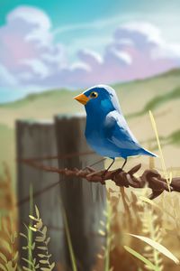 Preview wallpaper bird, wire, art