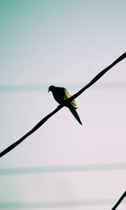 Preview wallpaper bird, wire, sky, waiting