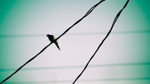 Preview wallpaper bird, wire, sky, waiting