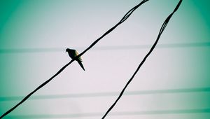 Preview wallpaper bird, wire, sky, waiting