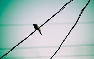 Preview wallpaper bird, wire, sky, waiting