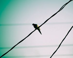 Preview wallpaper bird, wire, sky, waiting