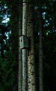 Preview wallpaper birdhouse, tree, forest