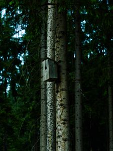 Preview wallpaper birdhouse, tree, forest