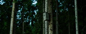 Preview wallpaper birdhouse, tree, forest