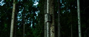 Preview wallpaper birdhouse, tree, forest