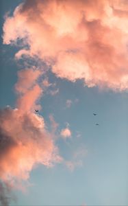 Preview wallpaper birds, clouds, sky, pink